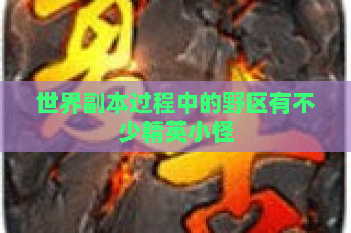 世界副本过程中的野区有不少精英小怪