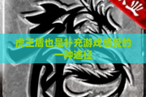 虎王盾也是补充游戏感受的一种途径