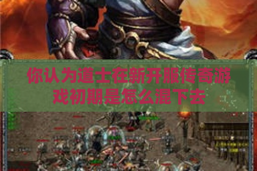 你认为道士在新开服传奇游戏初期是怎么混下去