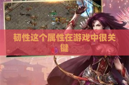 韧性这个属性在游戏中很关键