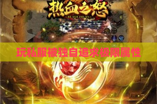 玩私服被独自追求极限属性