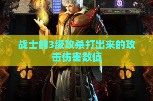 战士的3级攻杀打出来的攻击伤害数值