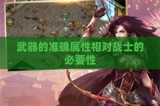 武器的准确属性相对战士的必要性