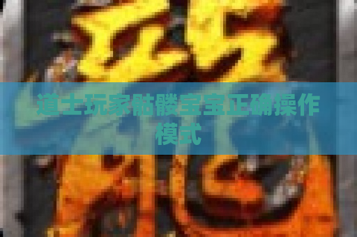 道士玩家骷髅宝宝正确操作模式